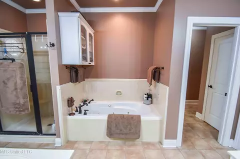Bath - 1480 Alana Dr, Terry, MS 39170 photo 2 of 11
