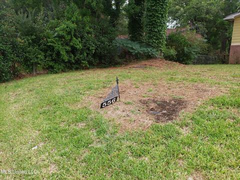 556 Woodward Ave, Jackson, MS 39206 photo 3