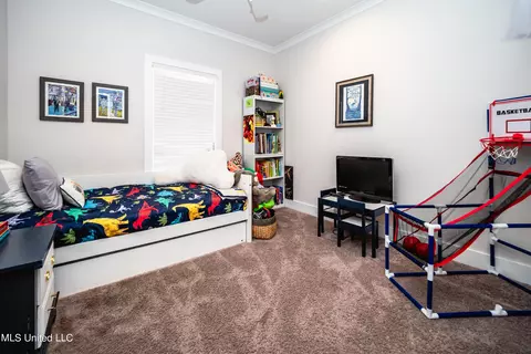 110 Shore View Dr, Madison, MS 39110 photo 29