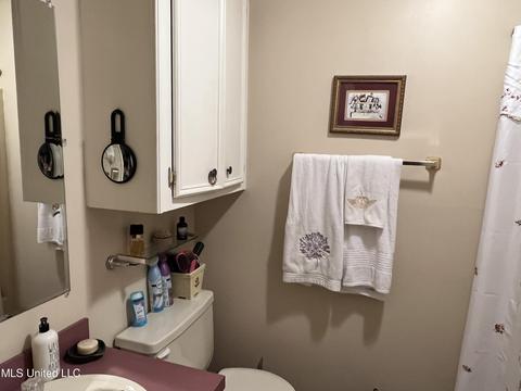 232 Riverbend Dr, Byram, MS 39272 photo 10