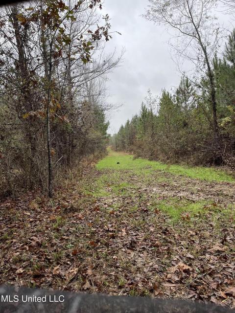 Co Rd 4167, Sallis, MS 39160 photo 5