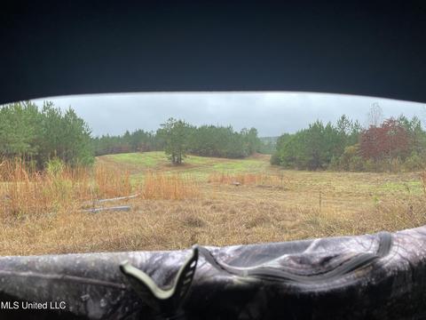 Co Rd 4167, Sallis, MS 39160 photo 6