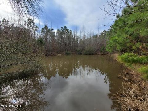 Co Rd 4167, Sallis, MS 39160 photo 4