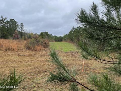 Co Rd 4167, Sallis, MS 39160