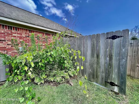 1226 Crossview Ct, Brandon, MS 39042 photo 42