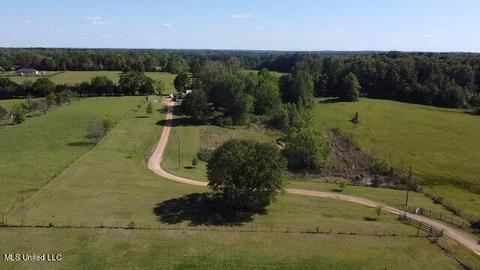 7005 Parsons Rd, Terry, MS 39170 photo 3