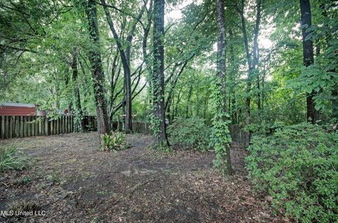 427 Hemlock Dr, Flowood, MS 39232 photo 23