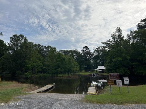 207 Harbor Pl, Brandon, MS 39047 photo 23