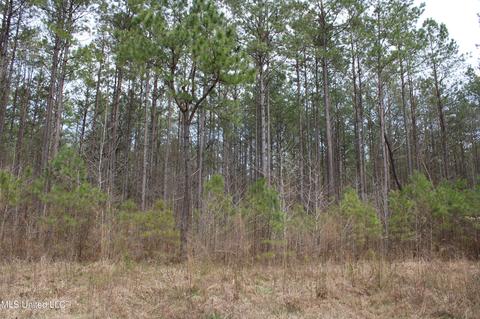 0 Highway 309, Byhalia, MS 38611