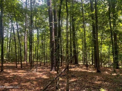 189 Lorman Ln, Madison, MS 39110 photo 2