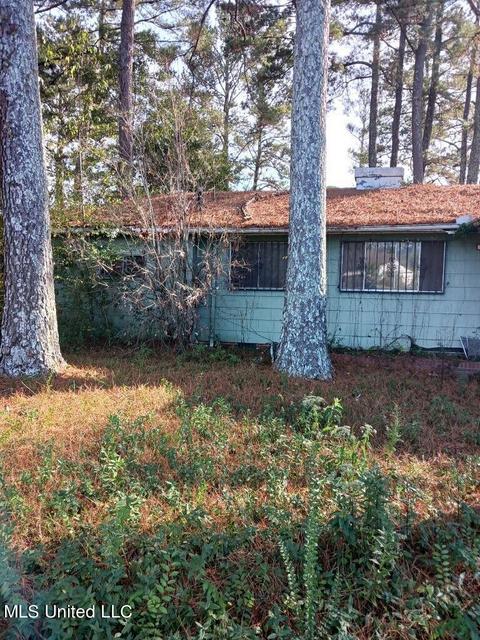 935 Raymond Rd, Jackson, MS 39204 photo 20