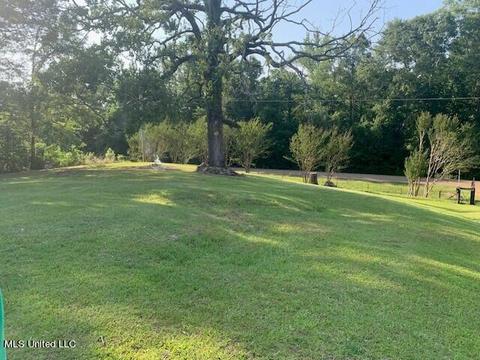 10707 Lebanon Pinegrove Rd, Terry, MS 39170 photo 3