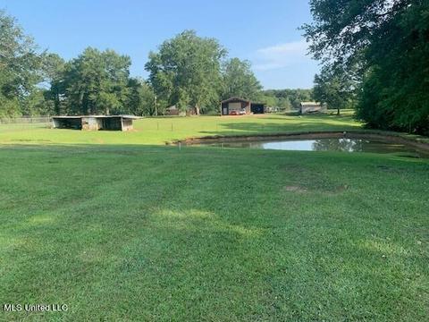 10707 Lebanon Pinegrove Rd, Terry, MS 39170 photo 5