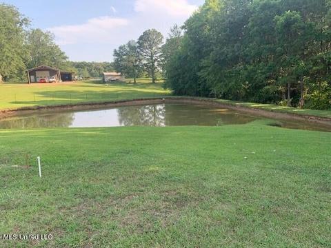 10707 Lebanon Pinegrove Rd, Terry, MS 39170 photo 6