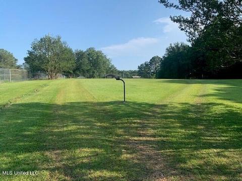 10707 Lebanon Pinegrove Rd, Terry, MS 39170 photo 4