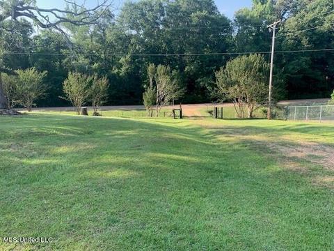 10707 Lebanon Pinegrove Rd, Terry, MS 39170 photo 2