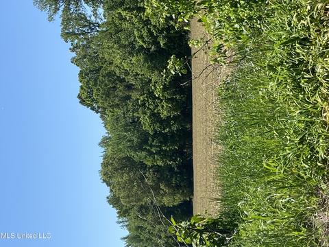 1511 Bend Rd, Coldwater, MS 38618