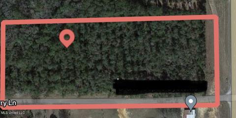 Tbn Blackberry Lane Lane, Lucedale, MS 39452
