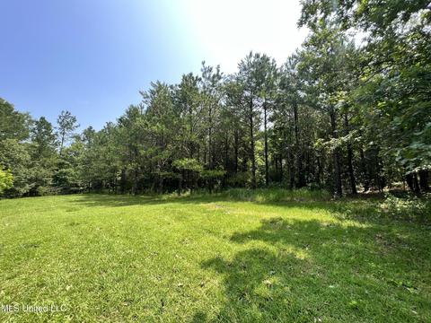 106 Gunter Ln, Canton, MS 39046