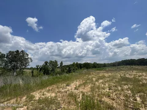 Cambell Rd, Lexington, MS 39095 photo 7