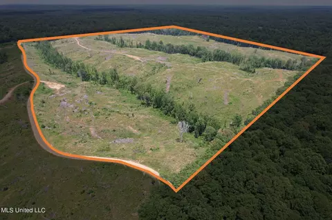 Cambell Rd, Lexington, MS 39095