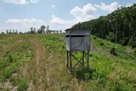 Cambell Rd, Lexington, MS 39095 photo 3
