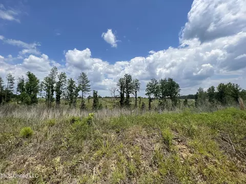 Cambell Rd, Lexington, MS 39095 photo 6