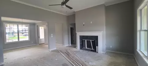 428 Fawn Grove Trl, Hernando, MS 38632 photo 3