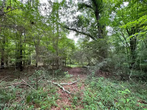 1 Gunter Rd, Walnut Grove, MS 39189 photo 6
