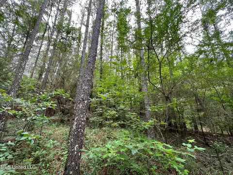 1 Gunter Rd, Walnut Grove, MS 39189