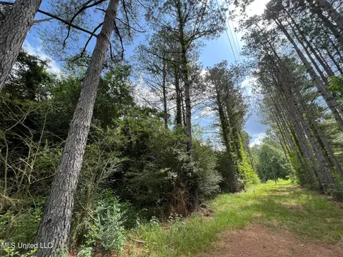 2 Gunter Rd, Walnut Grove, MS 39189 photo 7