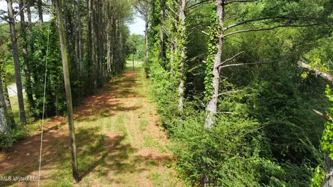 2 Gunter Rd, Walnut Grove, MS 39189 photo 13