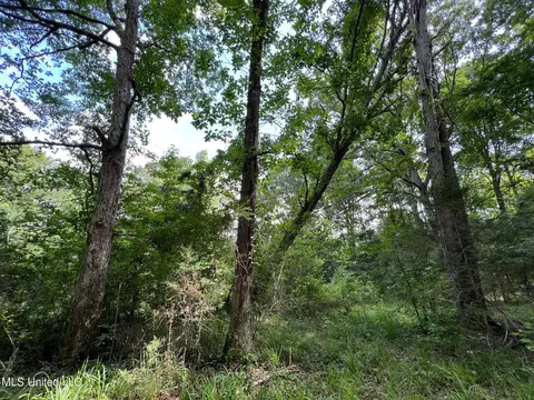 2 Gunter Rd, Walnut Grove, MS 39189 photo 6
