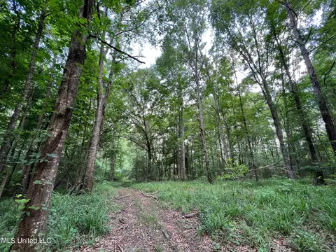 2 Gunter Rd, Walnut Grove, MS 39189 photo 5
