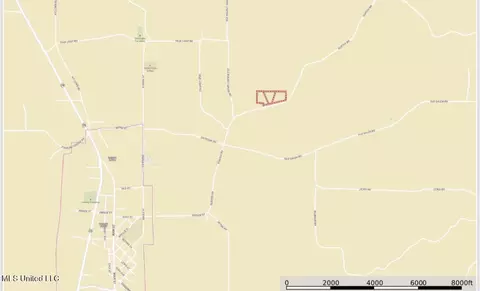 2 Gunter Rd, Walnut Grove, MS 39189 photo 4