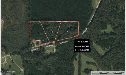 2 Gunter Rd, Walnut Grove, MS 39189 photo 2