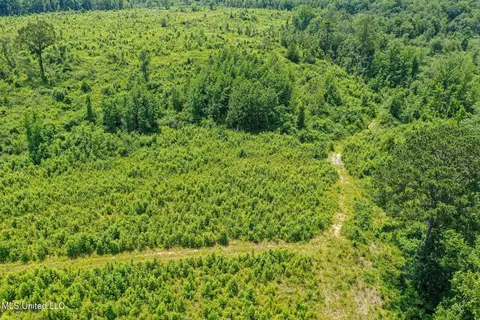 Bottom Road, Shuqualak, MS 39361 photo 14