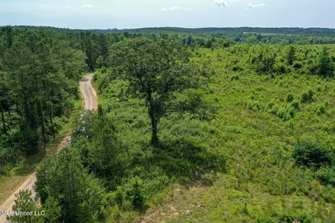 Bottom Road, Shuqualak, MS 39361 photo 18
