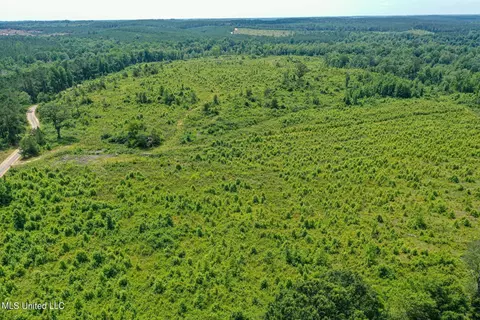 Bottom Road, Shuqualak, MS 39361 photo 16