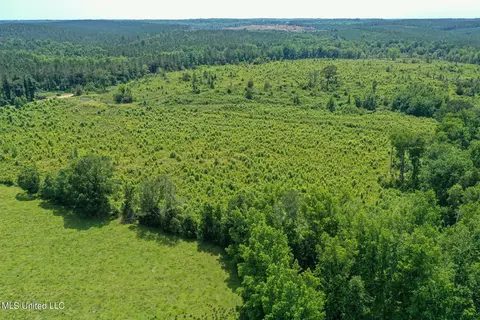 Bottom Road, Shuqualak, MS 39361 photo 15