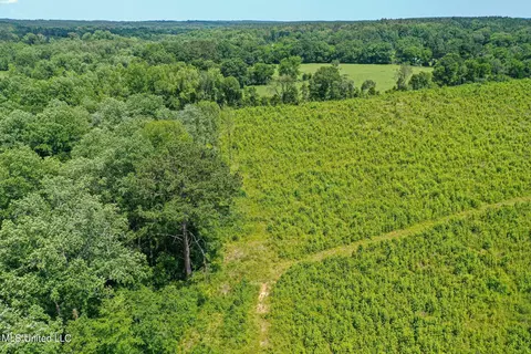 Bottom Road, Shuqualak, MS 39361 photo 19