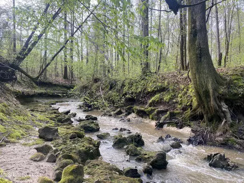 Off Berry Drive, Pearl, MS 39208