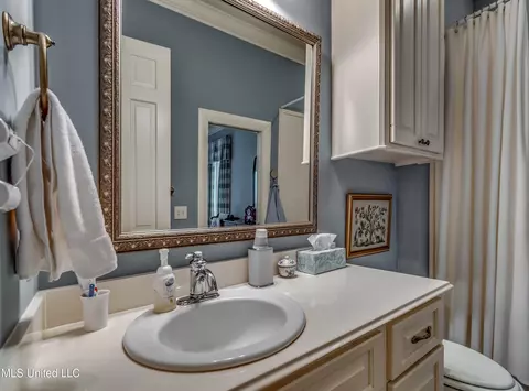 Bath - 144 Chapel Ln, Madison, MS 39110 photo 6 of 7