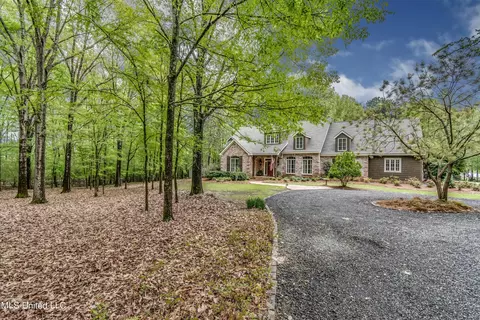 Exterior - 144 Chapel Ln, Madison, MS 39110 photo 3 of 16