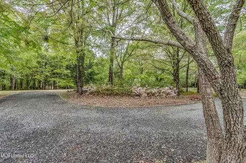 Other - 144 Chapel Ln, Madison, MS 39110 photo 3 of 3