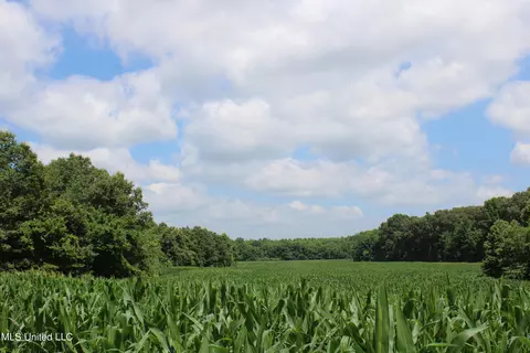 1200 Dorse Rd, Michigan City, MS 38647