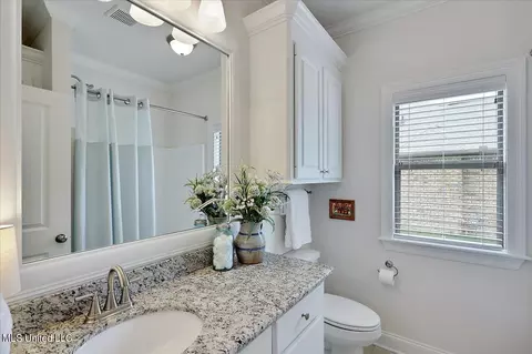 242 Falls Xing, Madison, MS 39110 photo 30