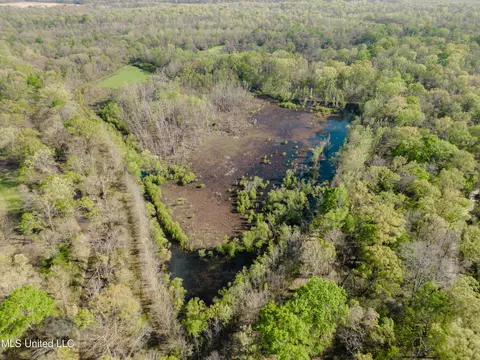 Cox Ferry Road, Bentonia, MS 39040