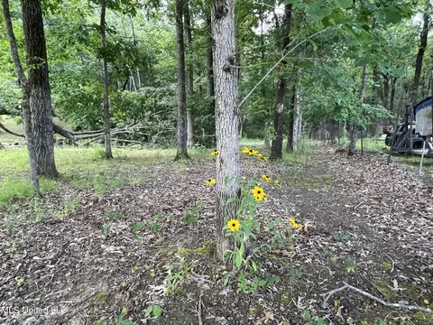 lot23 Sardis Lake Dr, Batesville, MS 38606