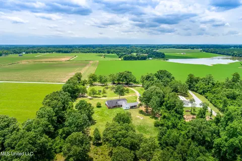 240 Henry Eubanks Rd, Lucedale, MS 39452 photo 32